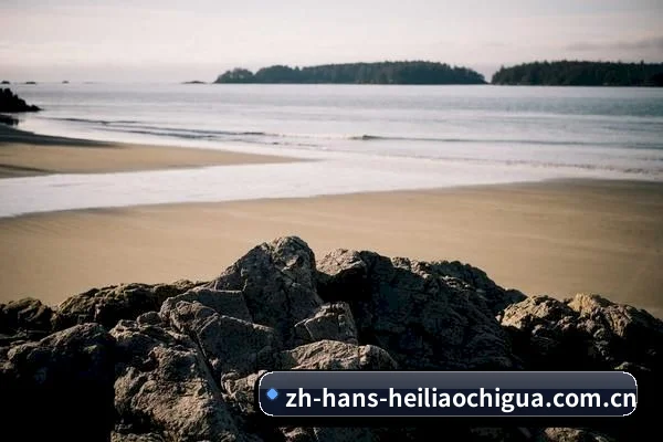 算力预测塌房